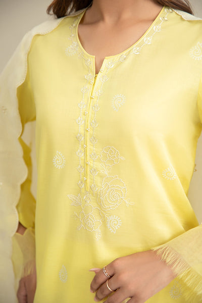 3 Piece - Printed & Embroidered Suit - C6304 - Shop Now at Kayseria